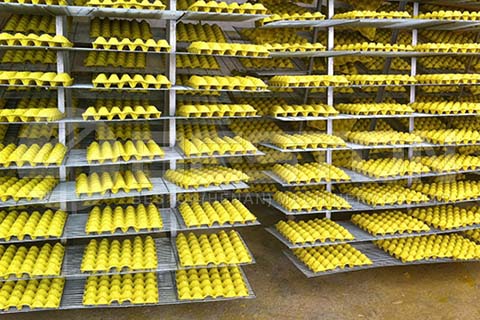 Natural Drying System