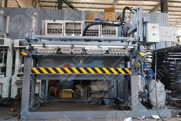 High Quality Egg Crate Making Machine for Sale