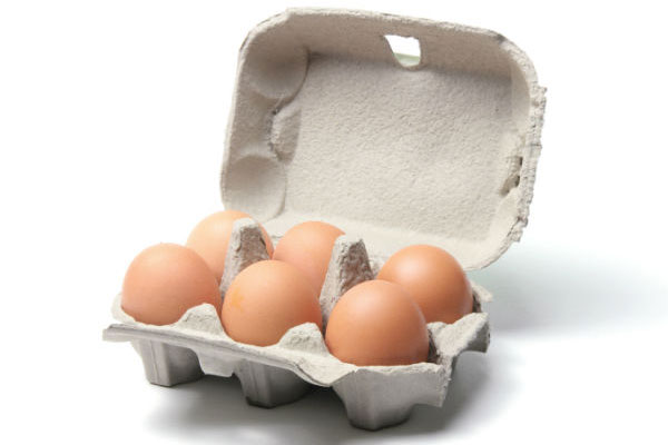 Make Paper Egg Carton