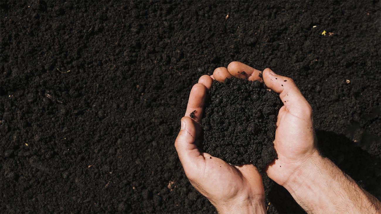 Biochar in Soil